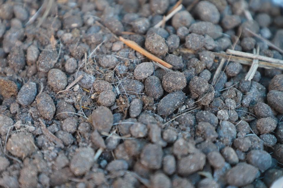 title - เลขาฯ ส.ป.ก. พร้อมคณะ ร่วมลงพื้นที่ติดตามคณะ รมช.กษ. ตรวจราชการ ณ ตำบลอ่าวลึก